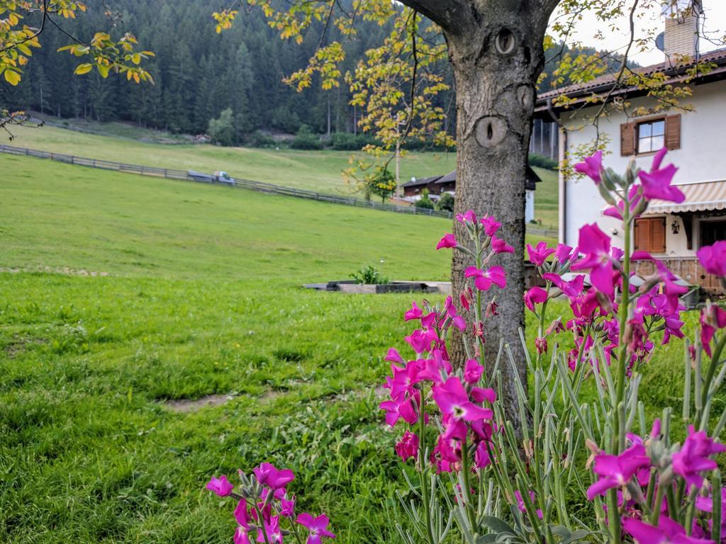 Apartment Hueberhof Sarentino 外观 照片